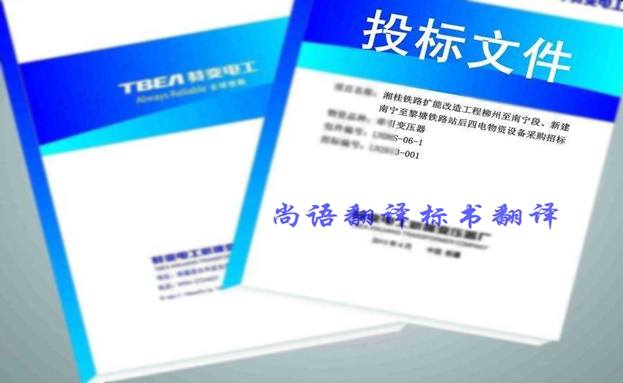 西班牙語投標書翻譯價格要多少錢？收費標準是什么？